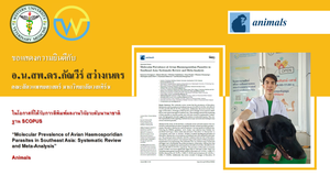 ขอแสงความยินดีกับ อาจารย์ น.สพ.ดร.กัณวีร์ สว่างเนตร เนื่องในโอกาสบทความวิจัยได้รับการตีพิมพ์ในฐานข้อมูล SCOPUS