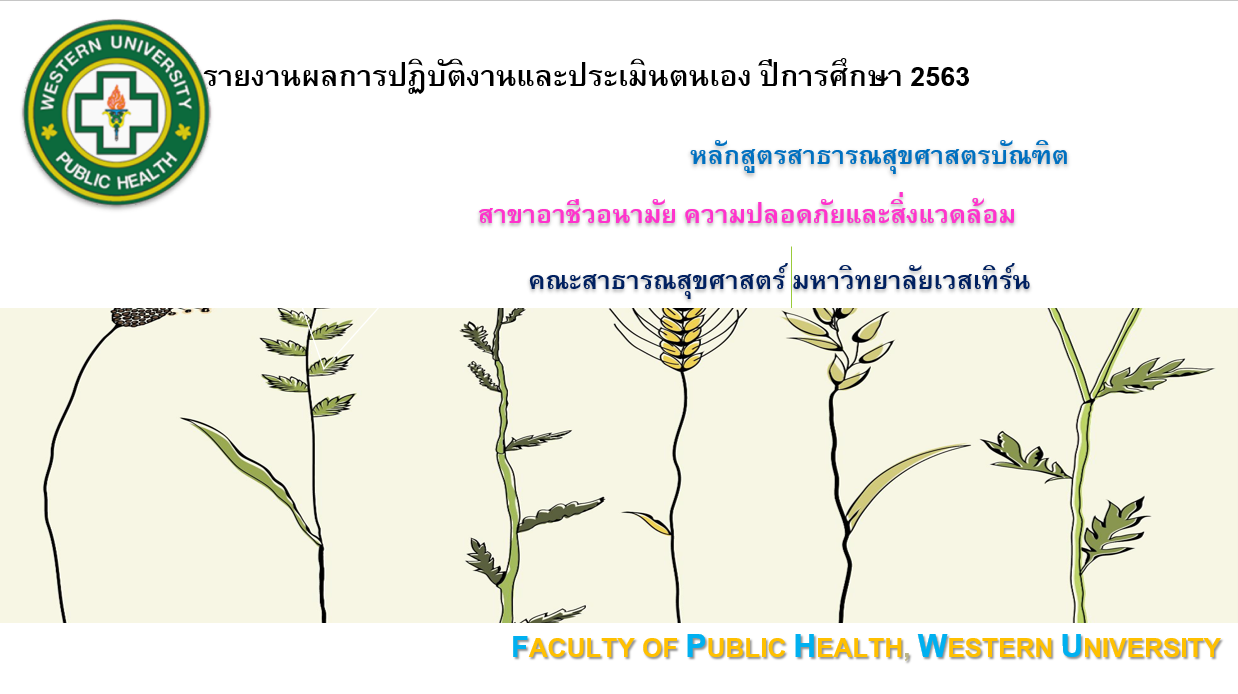 การตรวจประกันคุณภาพการศึกษา ระดับหลักสูตร