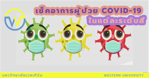 เช็คอาการ ผู้ป่วย COVID-19 ในแต่ละระดับสี