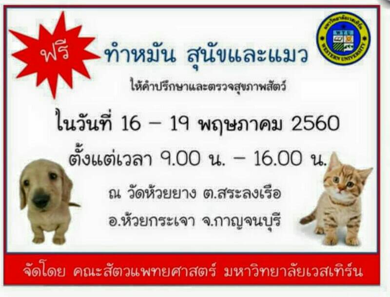 ทำหมันสุนัขและแมว 