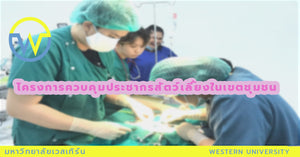 โครงการบริการวิชาการ ประจำปีการศึกษา 2562