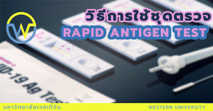 วิธีการใช้ชุดตรวจ Rapid Antigen Test
