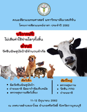 โครงการค่ายอาสา ประจำปี 2562 วันที่ 11-12 มิถุนายน 2562 ณ เทศบาลตำบลเขาโจด อำเภอศรีสวัสดิ์ จังหวัดกาญจนบุรี