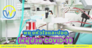 ECMO พยุงหัวใจและปอดให้ผู้ป่วย COVID-19