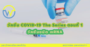 วัคซีน COVID-19 The Series ตอนที่ 1 วัคซีนชนิด mRNA