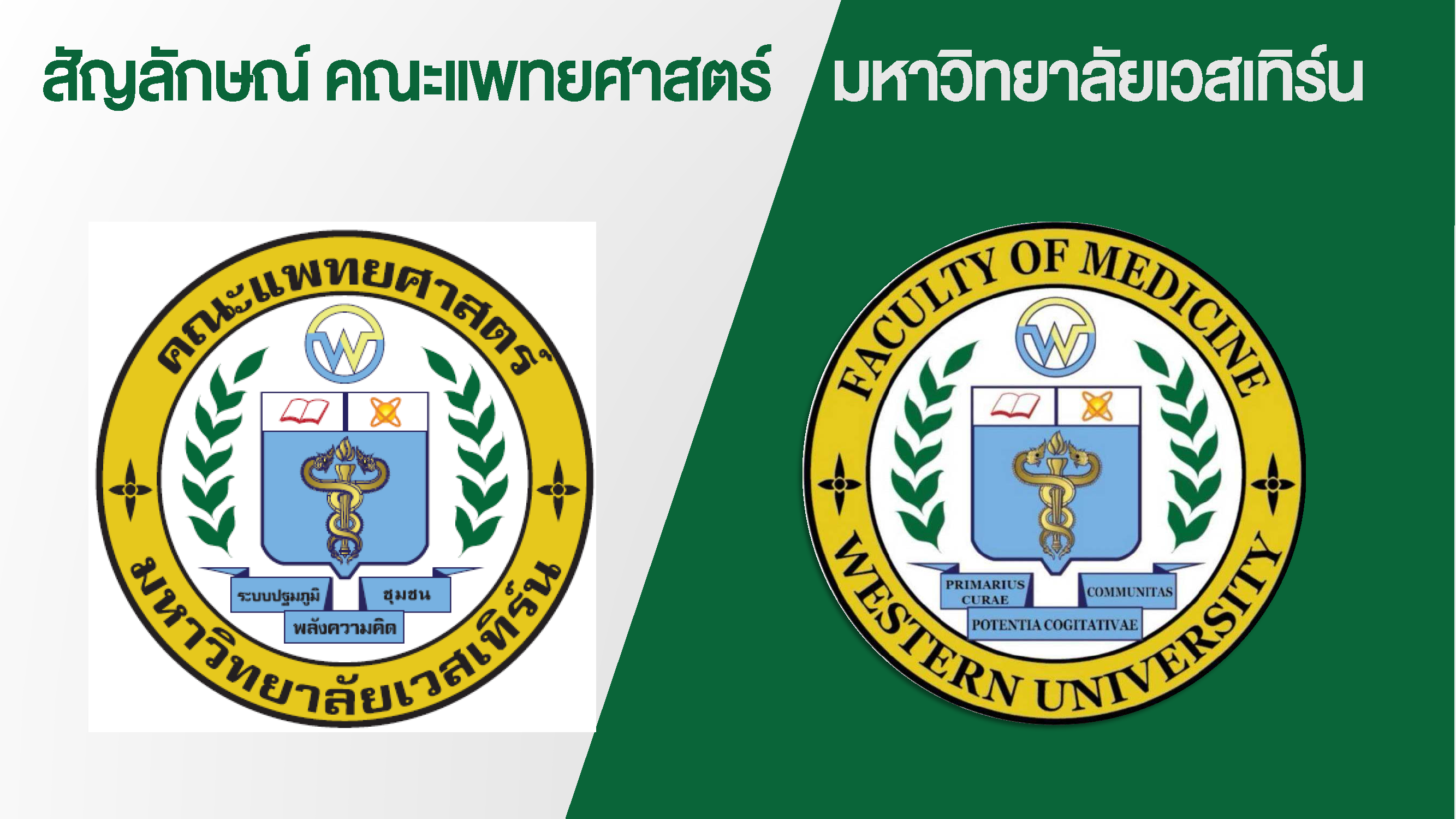 แนะนำหลักสูตรแพทยศาสตรบัณฑิต